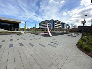 Large Scale CalArc Pavers 6