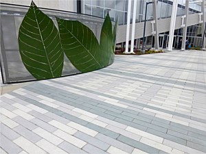 Large Scale CalArc Pavers 89