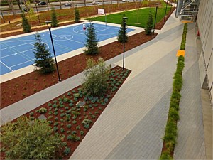 Large Scale CalArc Pavers 95